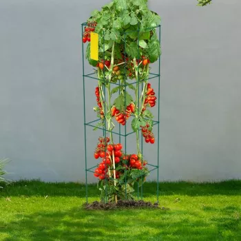 Heavy-Duty Tomato Cages: Strong Support for Climbers